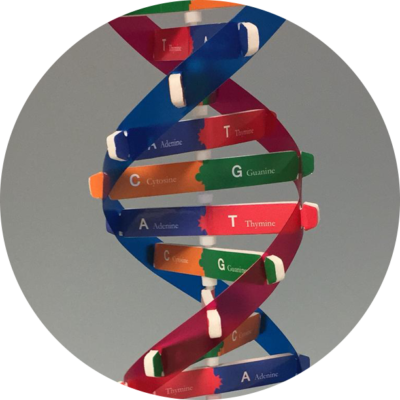 DNA DNA studio Dentistico Athena Brescia Calcinato