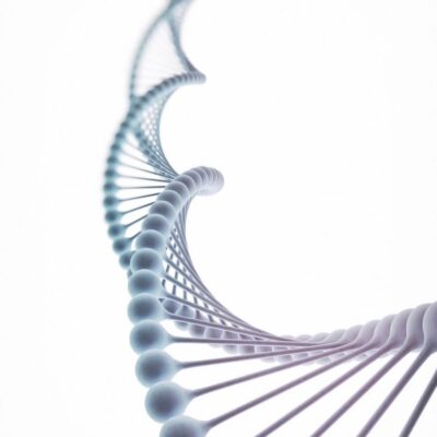 Progetto senza titolo Progetto senza titolo